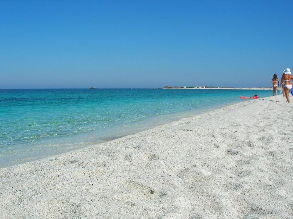 Sardinia Eco Vegan House Bed & Breakfast Zeddiani Bagian luar foto