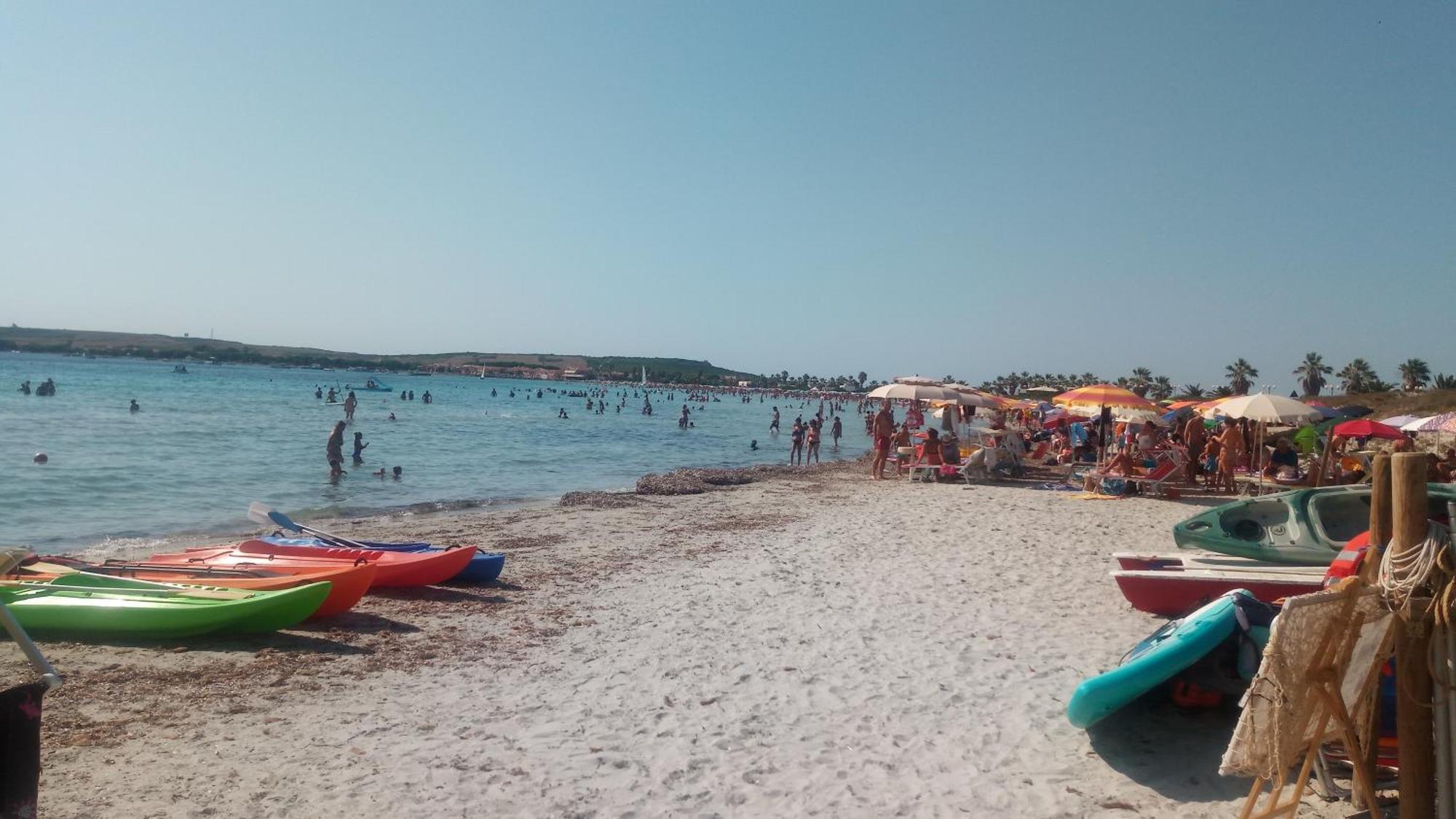 Sardinia Eco Vegan House Bed & Breakfast Zeddiani Bagian luar foto