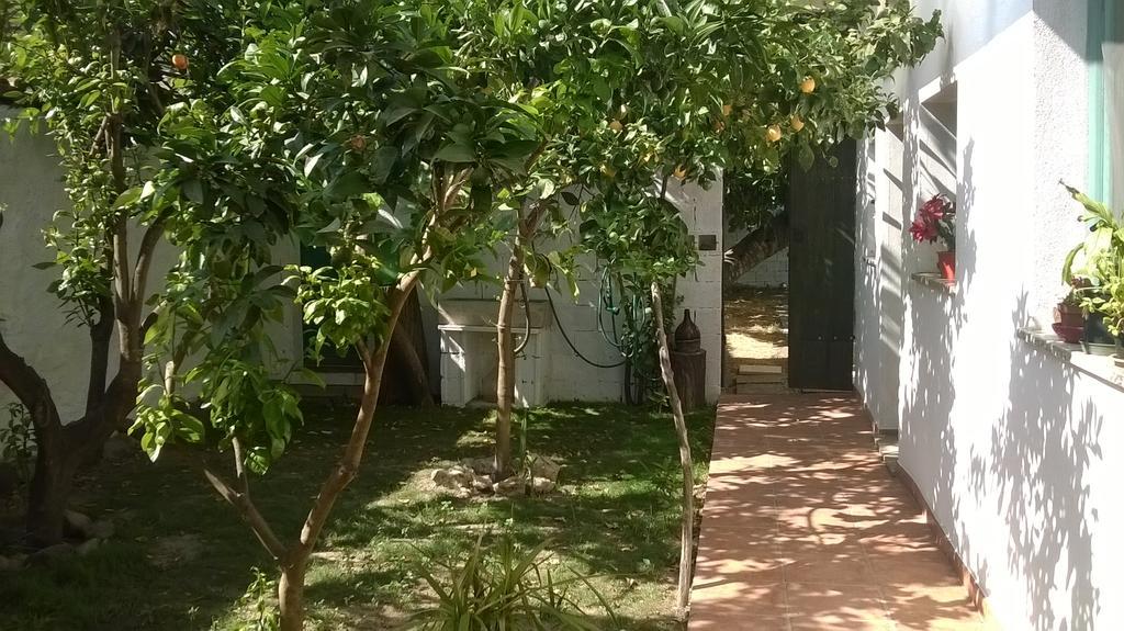 Sardinia Eco Vegan House Bed & Breakfast Zeddiani Bagian luar foto